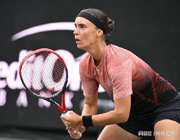 数的增加 数的增加