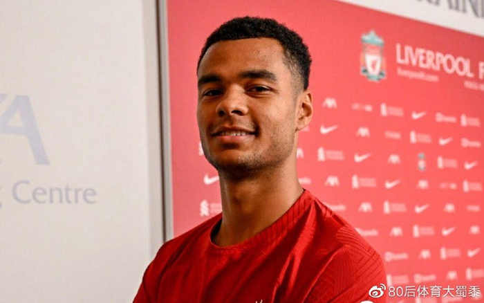 仅提高了球 仅提高了球